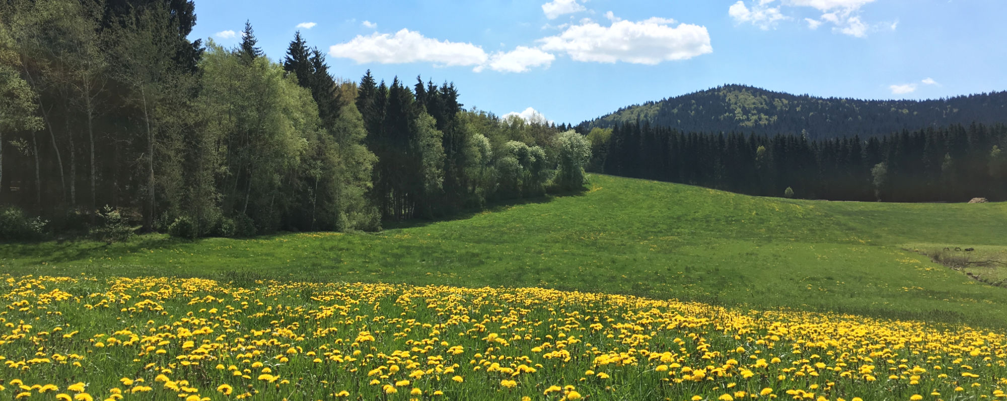 Gebirge